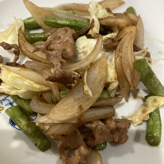 オイスターソースのインゲン入り野菜豚炒め